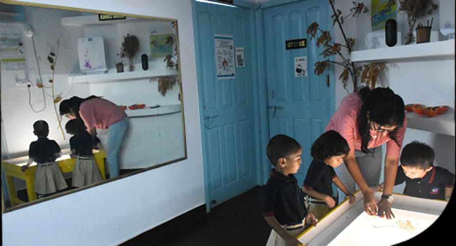 Our Educational Philosophy Is Globally Respected.